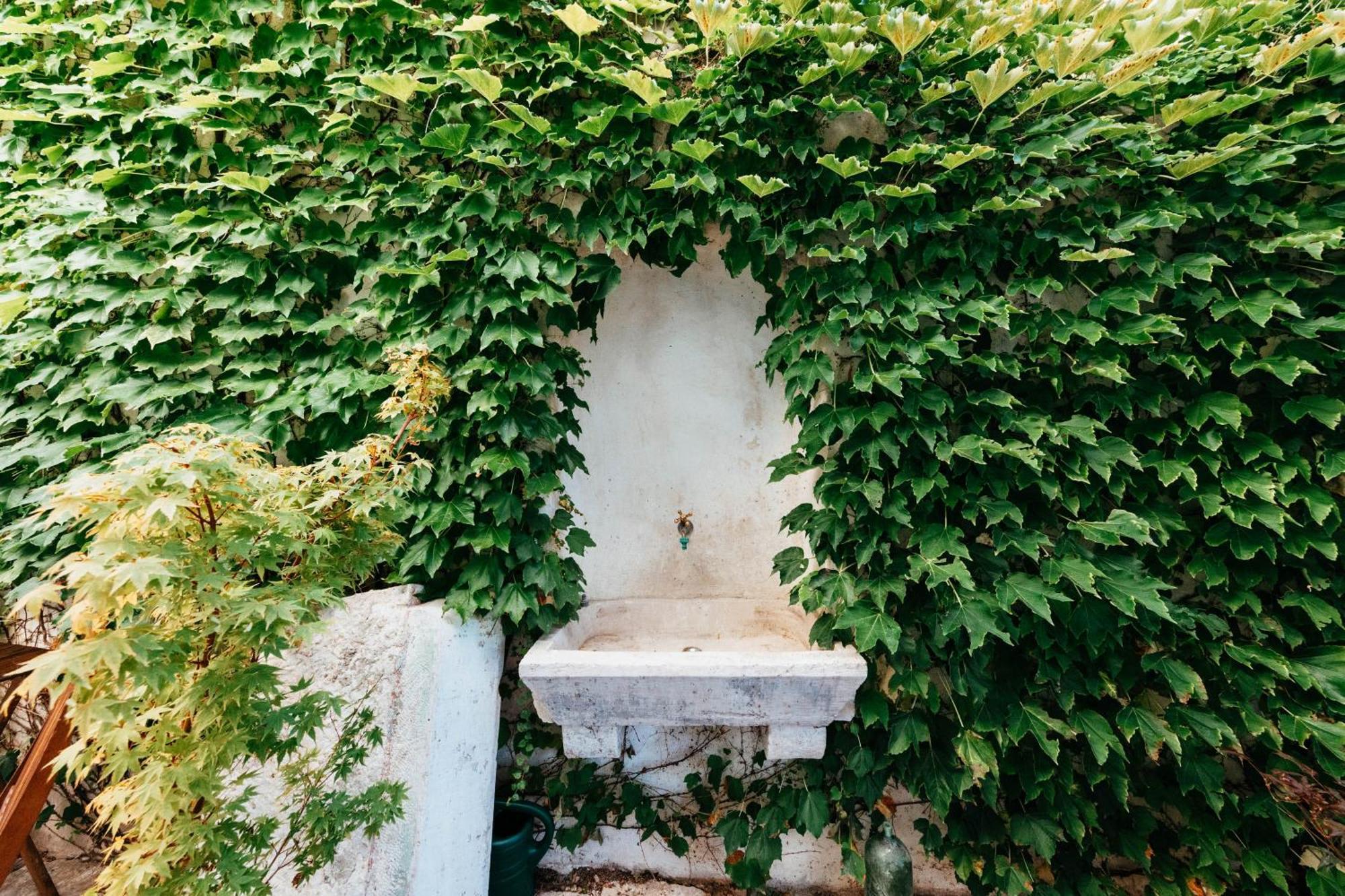 Villa Ani Apartment Coral 杜布罗夫尼克 外观 照片